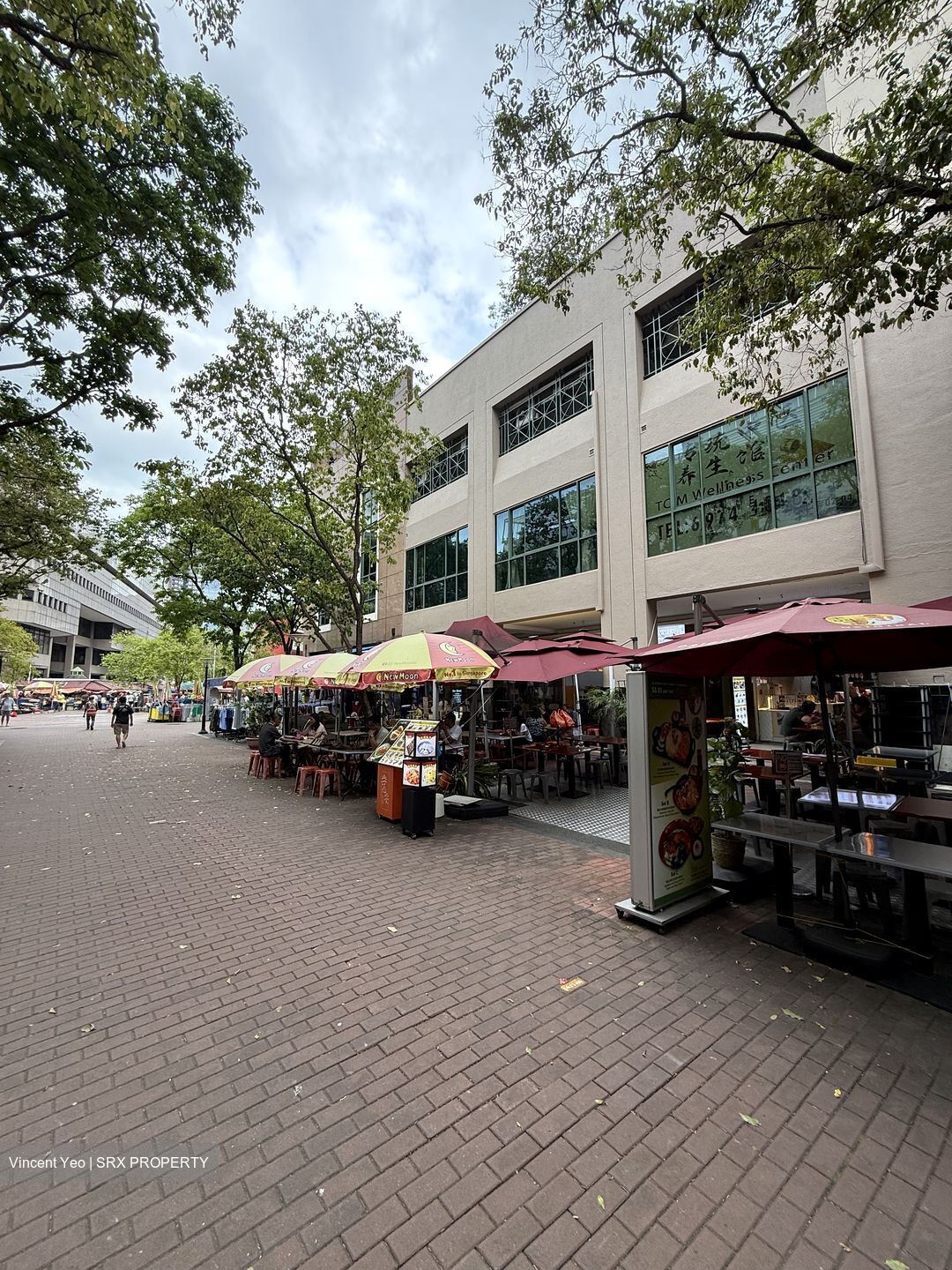 Fortune Centre (D7), Shop House #543143741